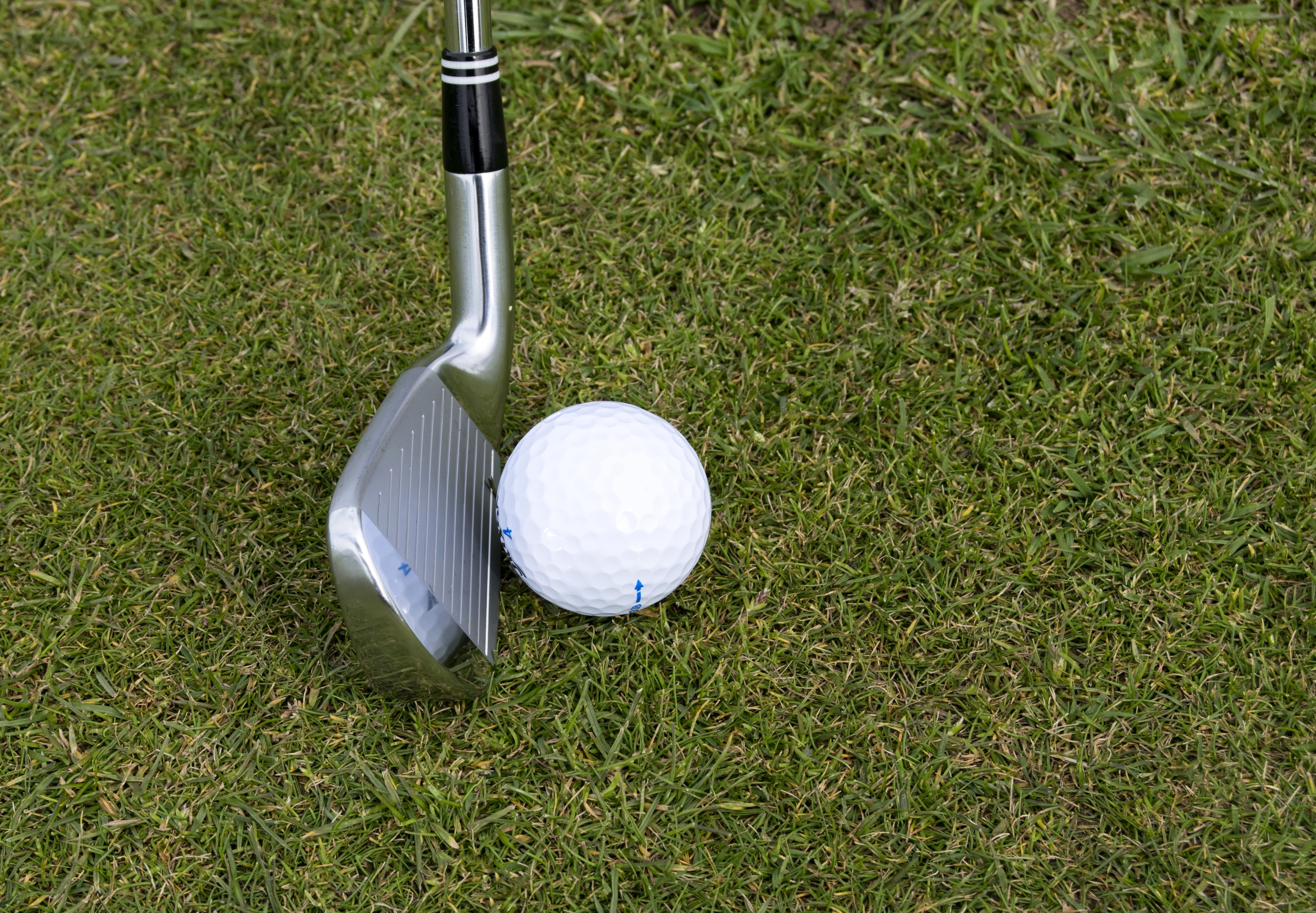Procurement, Negotiation And Golf
