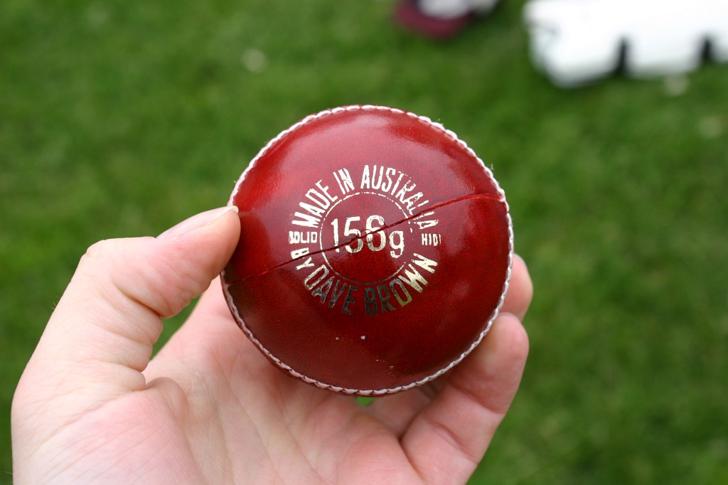 The Cricket Dispute