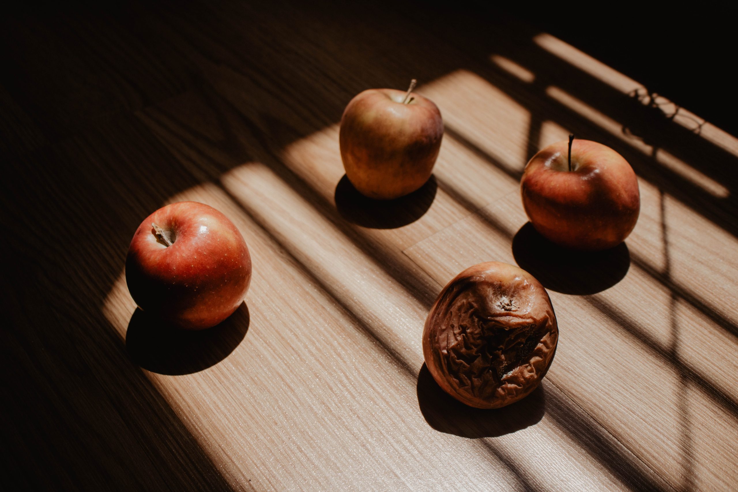 The Bad Apple : Part 2