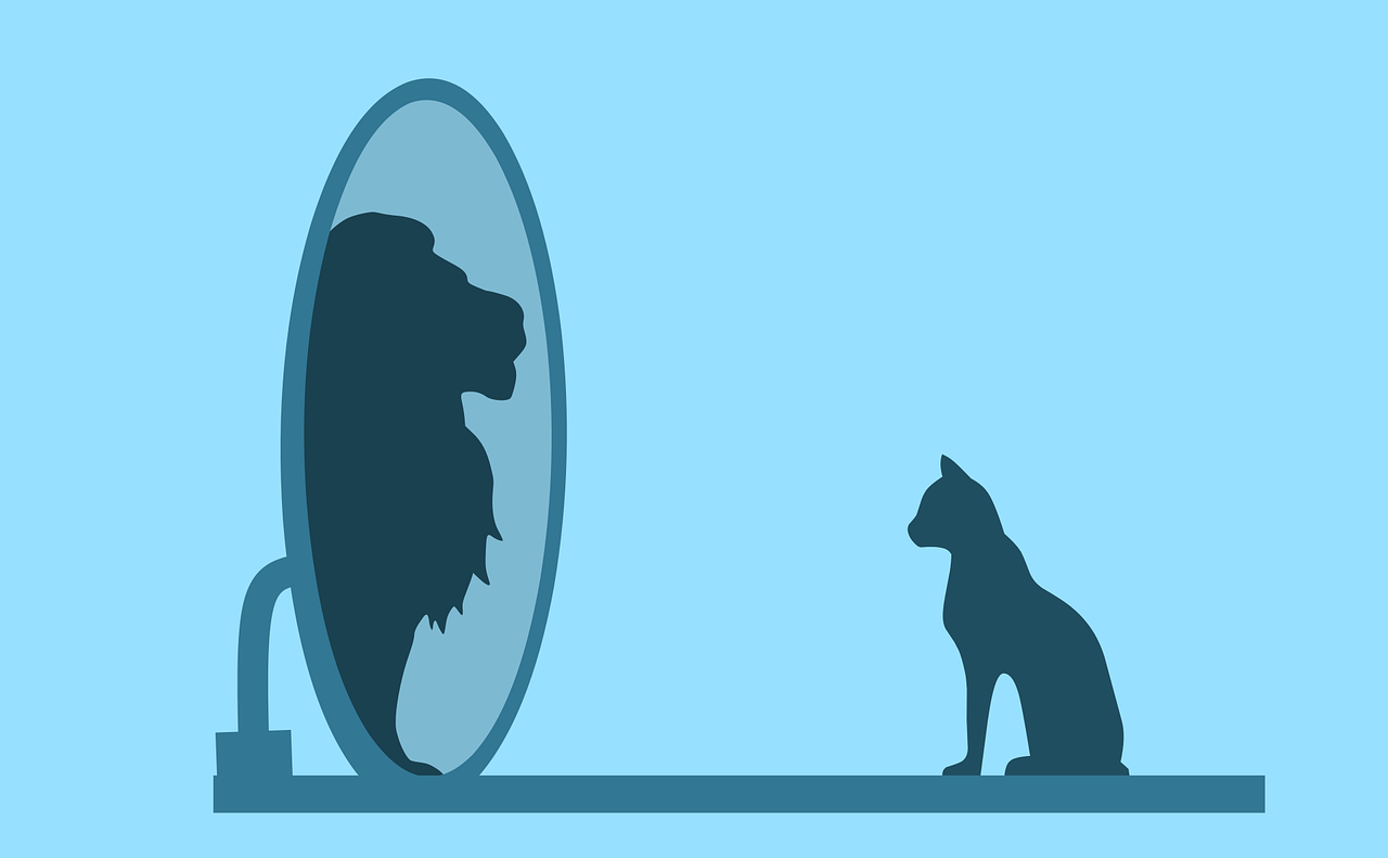 Dunning Kruger Effect and Its Impact on Negotiation Skills