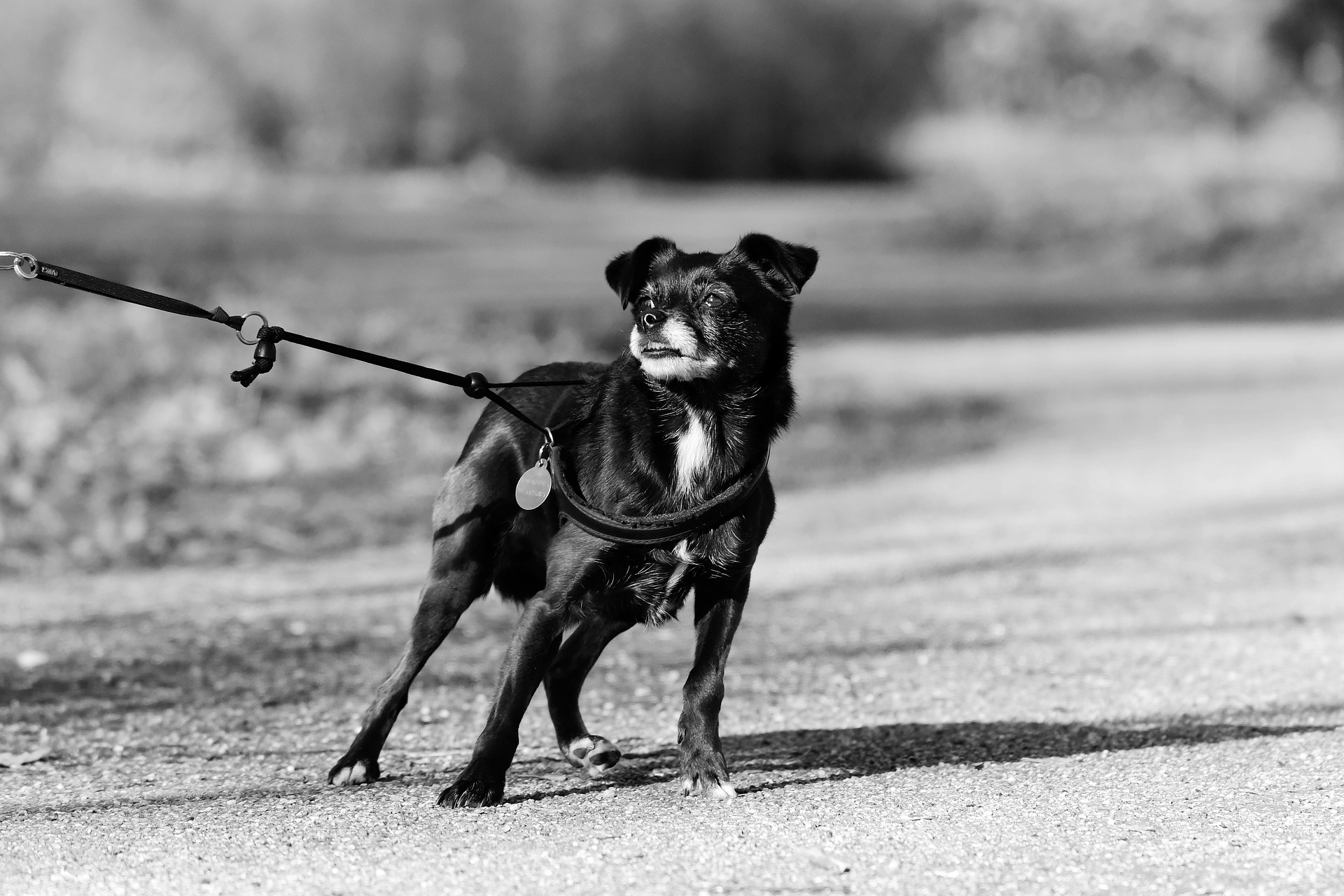 Loosening the Lead in Negotiations