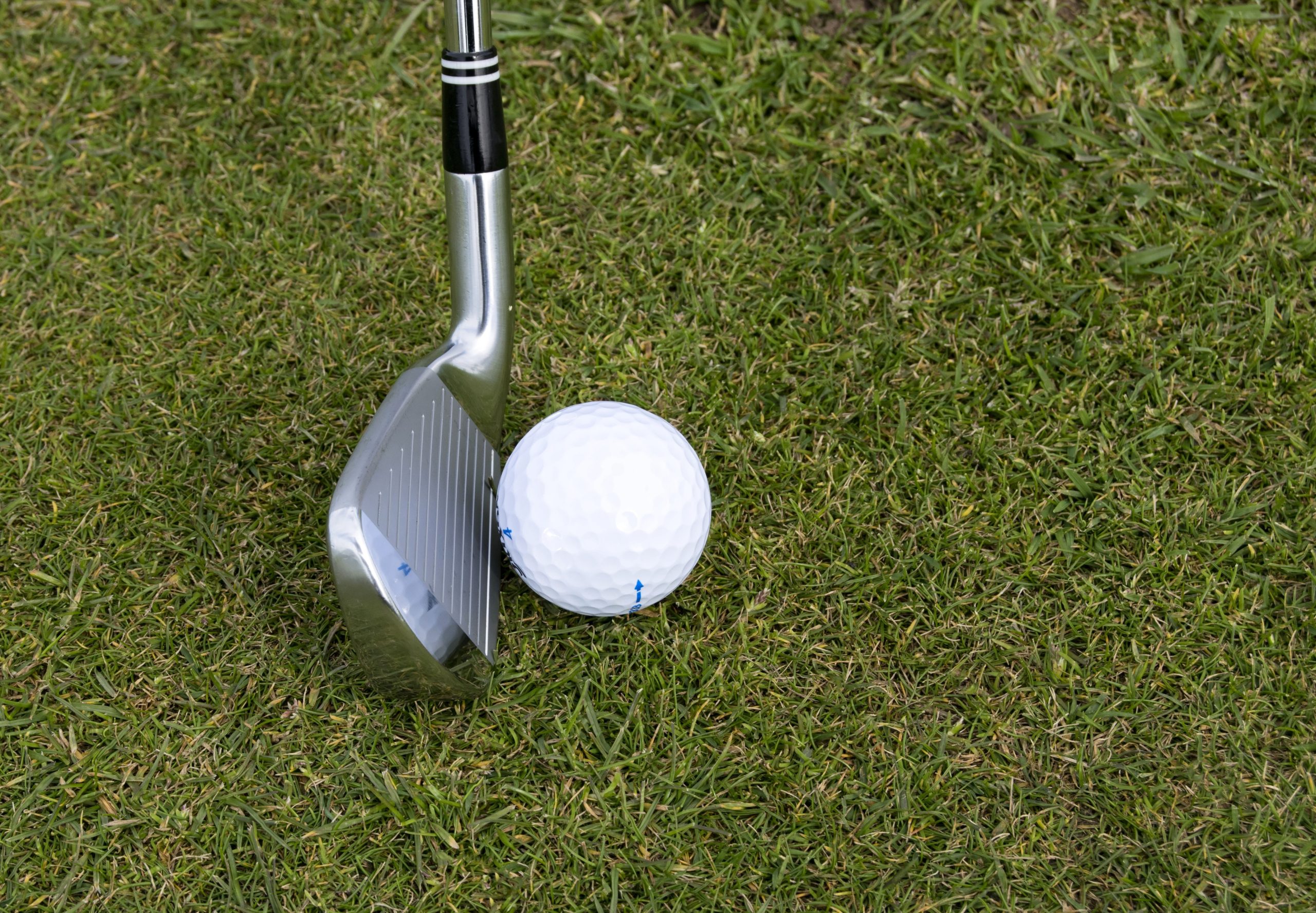 Procurement, Negotiation and Golf?