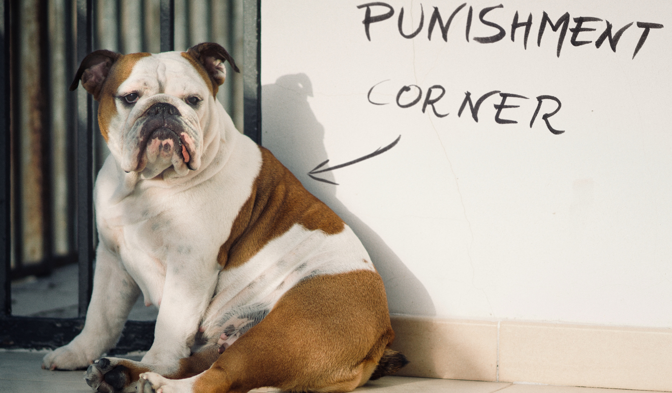Skilled Negotiators Understand Execution Part 1
